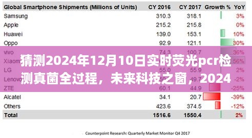 揭秘未來(lái)科技之窗，2024年實(shí)時(shí)熒光PCR檢測(cè)真菌全過(guò)程展望與解析