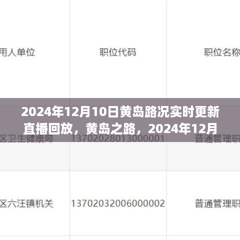 2024年12月10日黃島路況實錄與深度解讀，實時更新直播回放