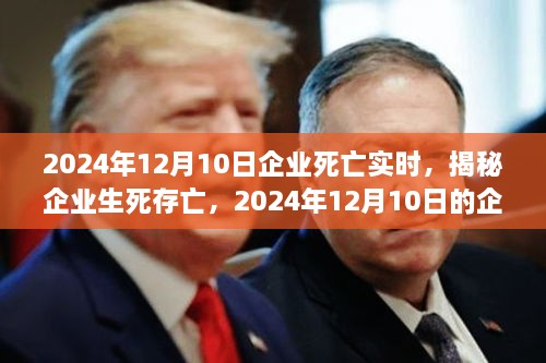 揭秘企業(yè)生死存亡，企業(yè)死亡實(shí)時(shí)真相揭秘（2024年12月10日）