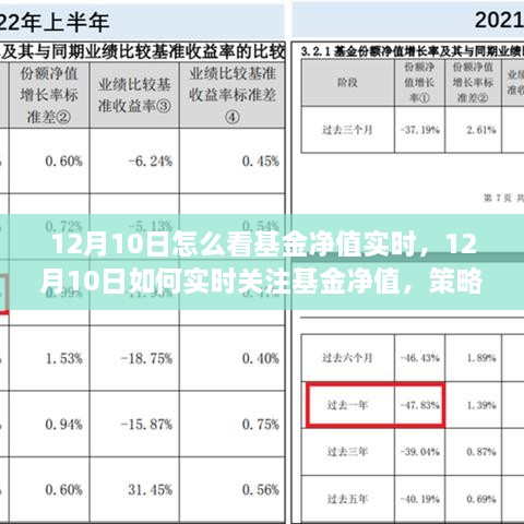 12月10日基金凈值實時關(guān)注策略與技巧，如何掌握基金動態(tài)