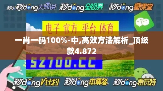 一肖一碼100%-中,高效方法解析_頂級款4.872