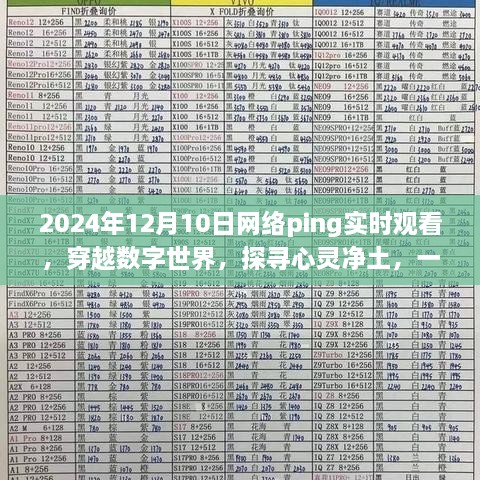 穿越數字世界的實時旅行，探尋心靈凈土的網絡Ping之旅