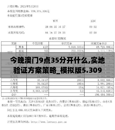 今晚澳門9點35分開什么,實地驗證方案策略_模擬版5.309