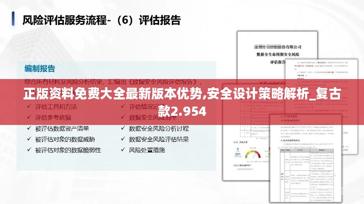 正版資料免費(fèi)大全最新版本優(yōu)勢(shì),安全設(shè)計(jì)策略解析_復(fù)古款2.954