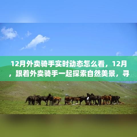 跟著外賣騎手探索自然美景，12月實時動態(tài)與心靈之旅