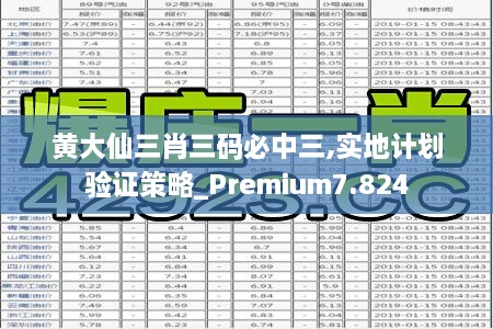 黃大仙三肖三碼必中三,實(shí)地計劃驗證策略_Premium7.824