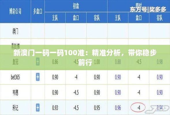 新澳門一碼一碼100準：精準分析，帶你穩(wěn)步前行