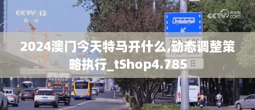 2024澳門今天特馬開什么,動態(tài)調整策略執(zhí)行_tShop4.785