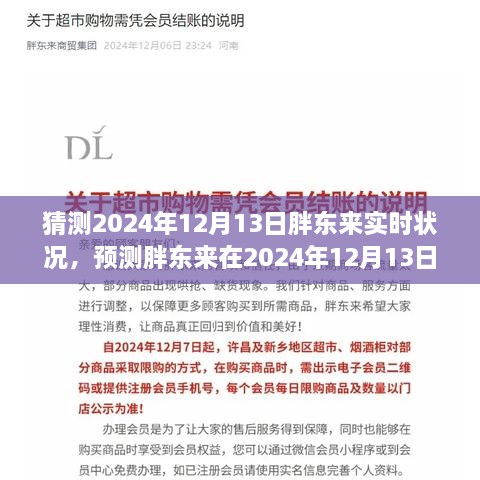 2024年12月13日胖東來商業(yè)前景預(yù)測(cè)與實(shí)時(shí)狀況分析