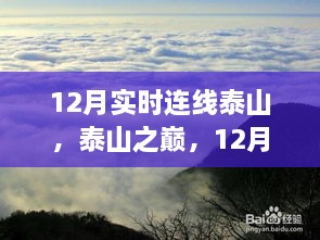 2024年12月14日 第13頁