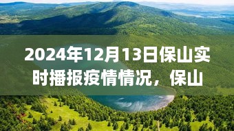 保山疫情實(shí)時(shí)播報(bào)與美景之旅，心靈避風(fēng)港，啟程尋找內(nèi)心寧?kù)o與奇跡之旅（XXXX年XX月XX日）