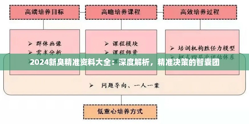 2024新臭精準資料大全：深度解析，精準決策的智囊團