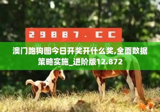 澳門跑狗圖今日開獎(jiǎng)開什么獎(jiǎng),全面數(shù)據(jù)策略實(shí)施_進(jìn)階版12.872