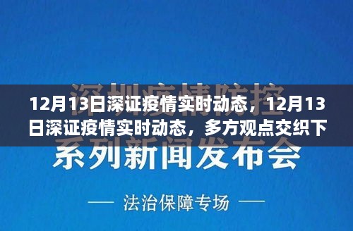 多方觀點交織下的洞察與反思，12月13日深證疫情實時動態(tài)分析