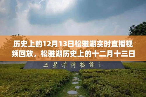 松雅湖直播回放，探尋歷史記憶碎片的十二月十三日