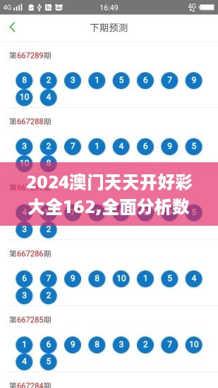 2024澳門天天開好彩大全162,全面分析數(shù)據(jù)執(zhí)行_DX版14.628