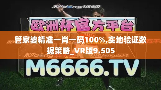 管家婆精準一肖一碼100%,實地驗證數(shù)據(jù)策略_VR版9.505