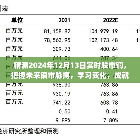 揭秘2024年12月13日股市銅市走向，洞悉變化成就投資夢想