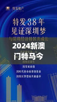 2024新澳門特馬今晚開什么,實地執(zhí)行考察方案_6DM19.732