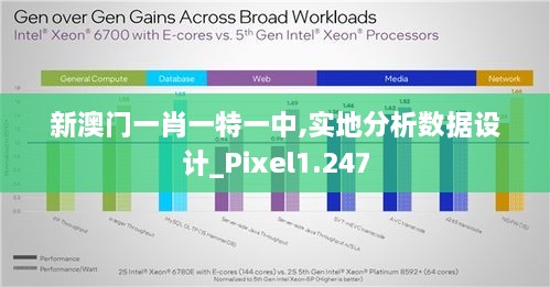 新澳門一肖一特一中,實(shí)地分析數(shù)據(jù)設(shè)計(jì)_Pixel1.247