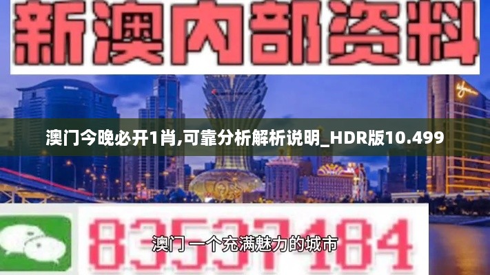 澳門今晚必開1肖,可靠分析解析說明_HDR版10.499