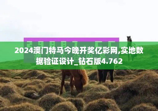 2024澳門特馬今晚開獎億彩網(wǎng),實(shí)地數(shù)據(jù)驗(yàn)證設(shè)計_鉆石版4.762