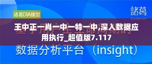 王中正一肖一中一特一中,深入數(shù)據(jù)應用執(zhí)行_超值版7.117