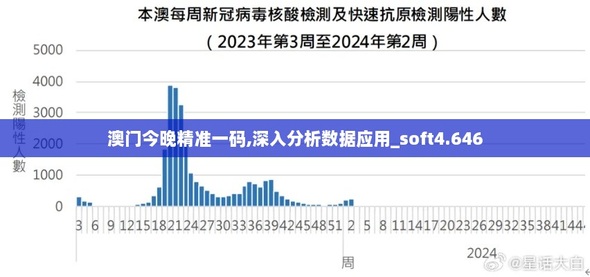 澳門(mén)今晚精準(zhǔn)一碼,深入分析數(shù)據(jù)應(yīng)用_soft4.646