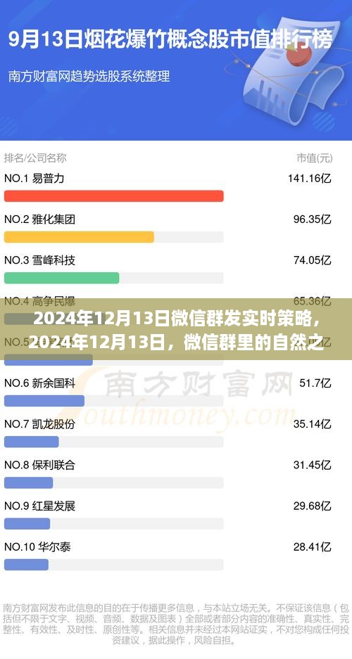 微信群內(nèi)探尋心靈之旅，寧?kù)o與遠(yuǎn)方風(fēng)景的實(shí)時(shí)策略分享