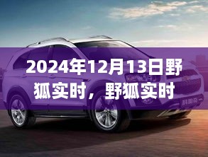 野狐實時，溫馨日常中的歡樂時光（2024年12月13日）