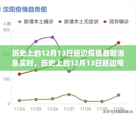 多維度視角下的深度分析，歷史上的延邊疫情最新消息實時報道與解讀（截至12月13日）