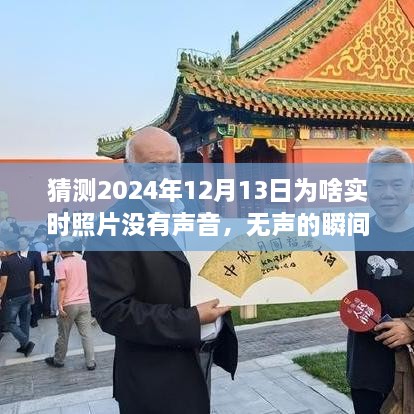 揭秘?zé)o聲瞬間背后的故事，為何2024年實(shí)時(shí)照片無(wú)聲開啟學(xué)習(xí)與成長(zhǎng)之旅？