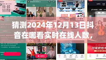 未來(lái)視野之旅，揭秘2024年抖音實(shí)時(shí)在線(xiàn)人數(shù)盛況——家庭日，在線(xiàn)情緣的見(jiàn)證