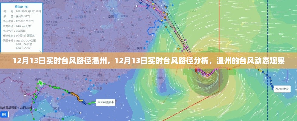 12月13日溫州臺風(fēng)路徑實(shí)時分析，最新動態(tài)與觀察報告