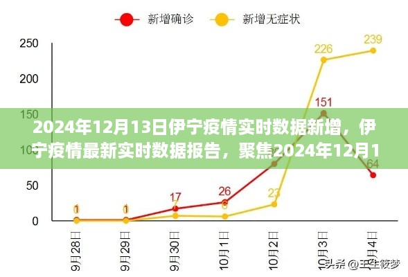 2024年12月13日伊寧疫情實時數(shù)據(jù)報告，聚焦最新新增情況