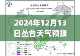 叢臺天氣預(yù)報實時洞察，2024年12月13日的天氣分析與影響