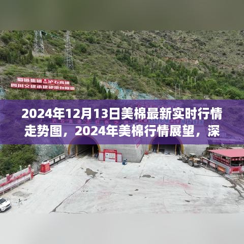 深度解析，2024年美棉行情展望與實(shí)時(shí)走勢(shì)圖背后的爭(zhēng)議