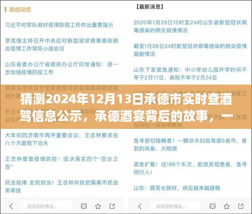 承德酒宴背后的故事，酒駕信息公示探秘之旅（猜測2024年12月13日承德市實時查酒駕信息公示）