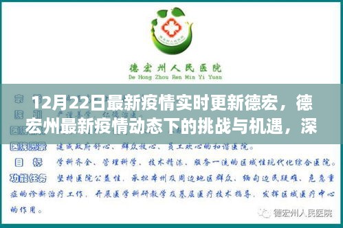 德宏州最新疫情動態(tài)下的挑戰(zhàn)與機遇深度解析，實時更新與觀點闡述