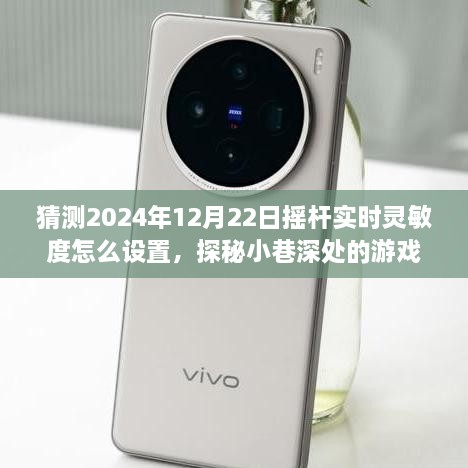 探秘游戲秘境，2024年搖桿實時靈敏度調(diào)整指南與獨特小店之旅揭秘游戲細節(jié)，小巷深處的游戲秘境等你來探探。