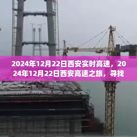 西安高速之旅，探尋自然懷抱，心靈寧?kù)o之旅（2024年12月22日）