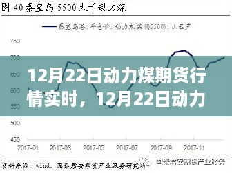 12月22日動力煤期貨行情實時分析，市場走勢下的多元觀點探討