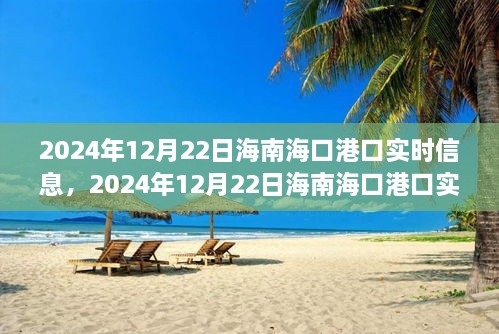 2024年12月22日海南海口港口實時信息全解析，小紅書帶你掌握最新動態(tài)