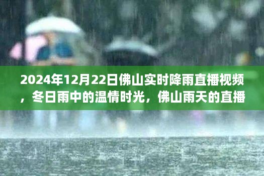 溫情時光與友情故事，佛山雨天直播實錄，實時降雨直播視頻