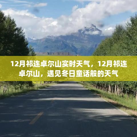 12月祁連卓爾山，冬日童話般的天氣實時報告