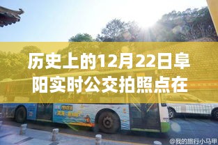 歷史上的12月22日阜陽公交之旅，探尋實時公交拍照點，尋找心靈的寧靜與自然的饋贈