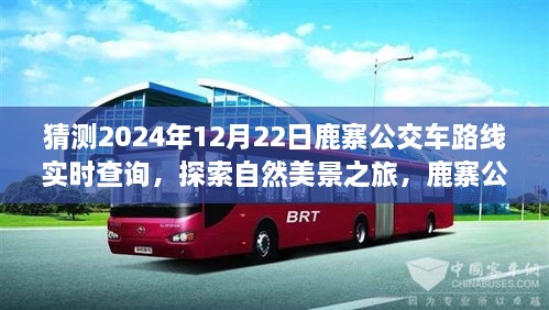 鹿寨公交路線新探秘，啟程2024年12月22日，探尋自然美景之旅實時查詢