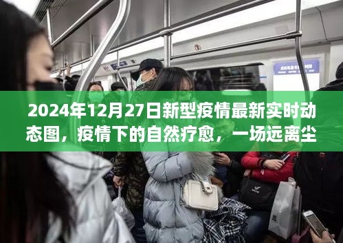 疫情下的自然療愈之旅，探尋內(nèi)心平靜與新型疫情的實時動態(tài)圖