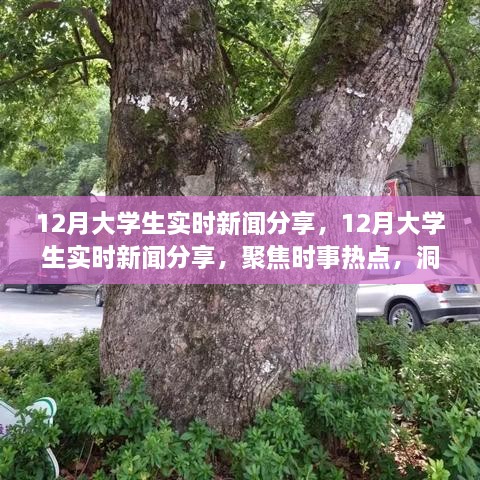 聚焦時事熱點(diǎn)，大學(xué)生實時新聞分享，洞察時代變遷的十二月觀察