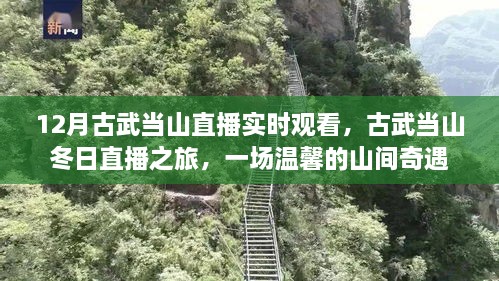 古武當(dāng)山冬日直播之旅，探尋山間奇遇的溫馨之旅